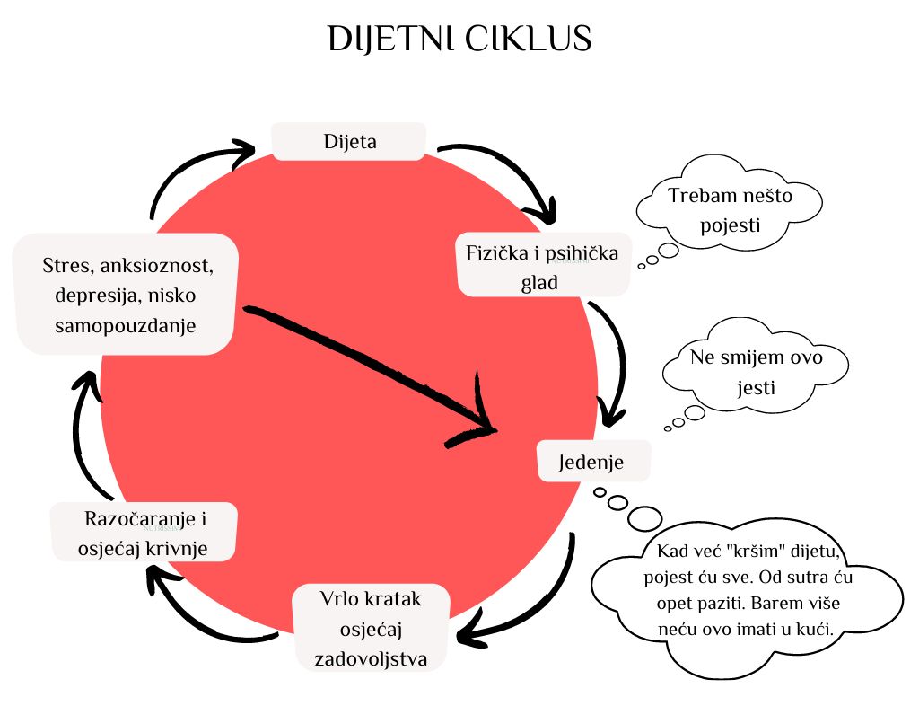 dijetni-ciklus